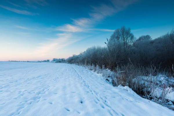 Karlı kış kırsal güzel soğuk sabahı. — Stok fotoğraf