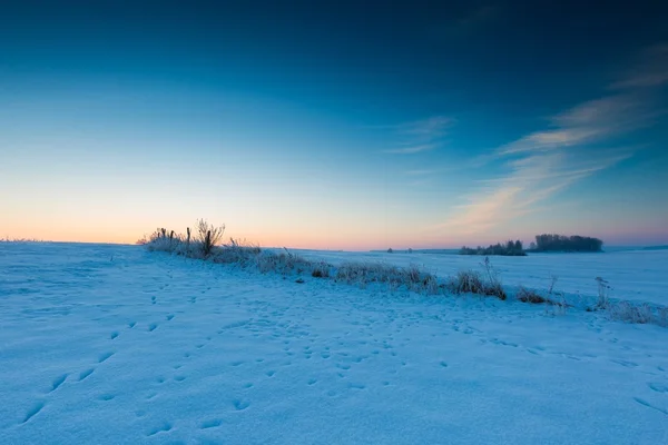 Hermosa mañana fría en el campo de invierno nevado . — Foto de Stock