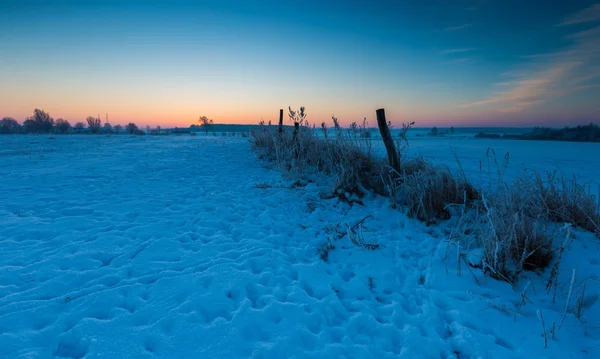 Bela manhã fria no campo de inverno nevado . — Fotografia de Stock