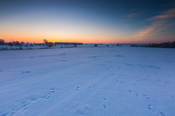 Bela manhã fria no campo de inverno nevado . — Fotografia de Stock