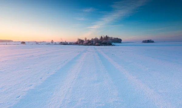 Vackra kall morgon på snöig vinter landsbygden. — Stockfoto