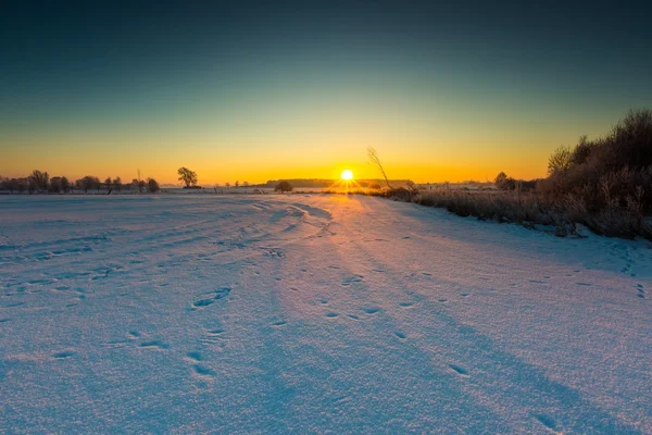 Hermosa mañana fría en el campo de invierno nevado . — Foto de Stock