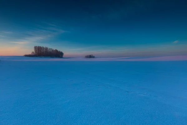 Bela manhã fria no campo de inverno nevado . — Fotografia de Stock