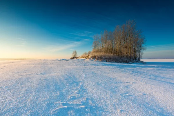 Beautiful cold morning on snowy winter countryside. — Stock Photo, Image