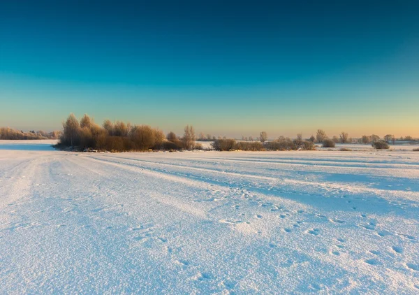 Bela manhã fria no campo de inverno nevado . — Fotografia de Stock