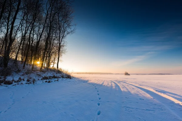 Mooie koude ochtend op besneeuwde winter platteland. — Stockfoto