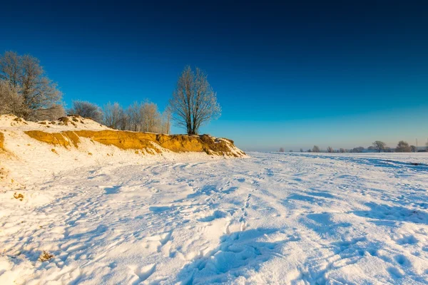 Piękny zimny poranek na wsi mroźną zimę. — Zdjęcie stockowe
