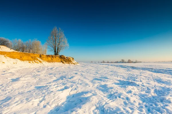 Bela manhã fria no campo de inverno nevado . — Fotografia de Stock