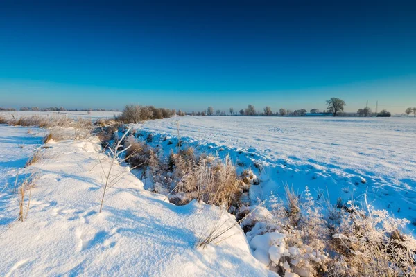 Hermosa mañana fría en el campo de invierno nevado . — Foto de Stock