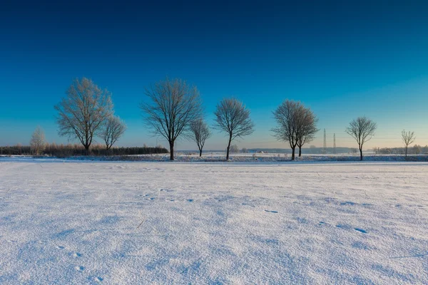 Schöner kalter Morgen auf schneebedeckter Winterlandschaft. — Stockfoto