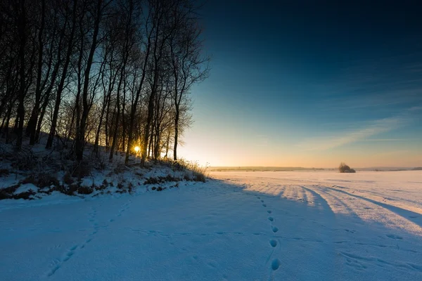 Beautiful cold morning on snowy winter countryside. Stock Image