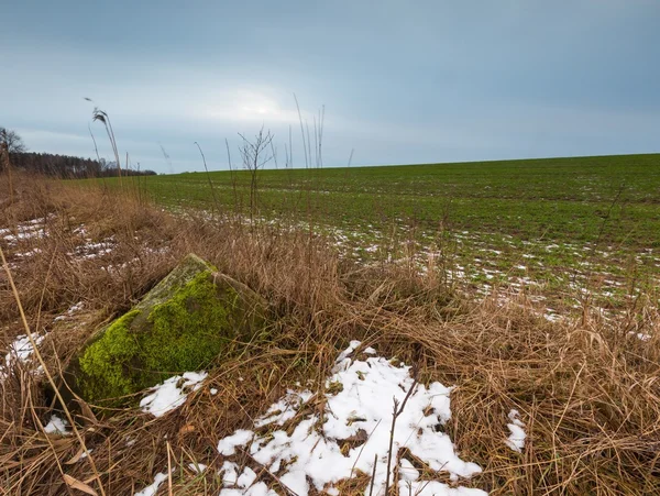 Winter or early spring landscape of boulder stones on fields