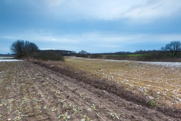 Early spring landscape of fields under cloudy sky — Stock Photo, Image