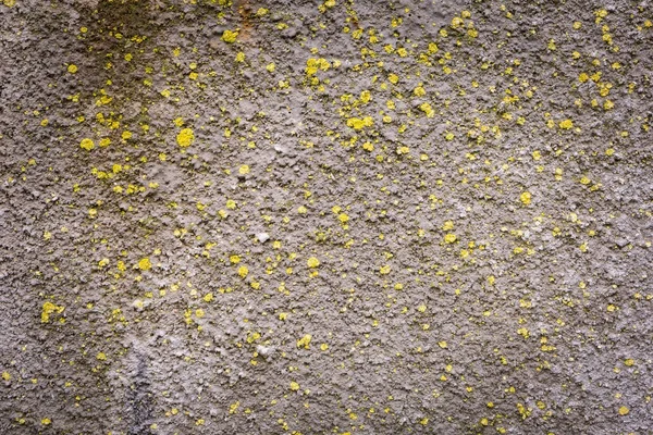 Vieux fond de mur en béton détruit — Photo