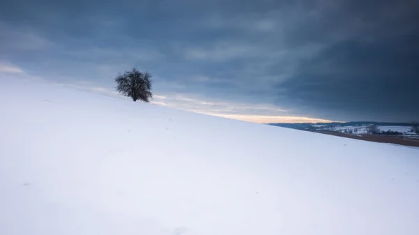 Paisagem de campo de inverno sob céu nublado . — Fotografia de Stock