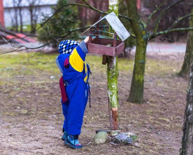 Küçük çocuk kuşlarda şehir parkı açık beslemeleri.