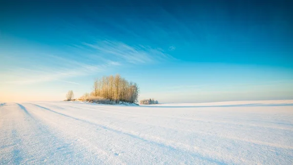 Besneeuwde veld winterlandschap — Stockfoto