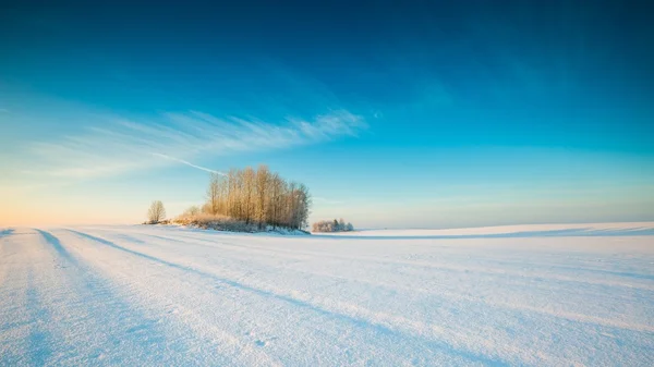 Winter snowy field landscape — Stock Photo, Image