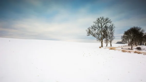 Inverno paisagem campo nevado — Fotografia de Stock