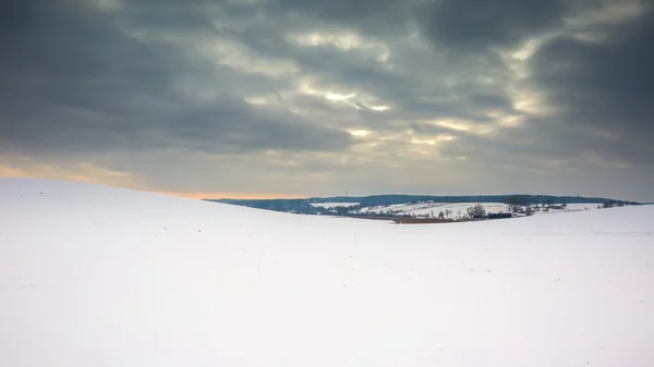 Зимовий сніжний польовий пейзаж — стокове фото