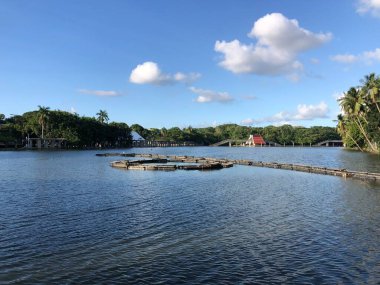 Timsahlı Villahermosa Tabasco İllüzyonları Gölü