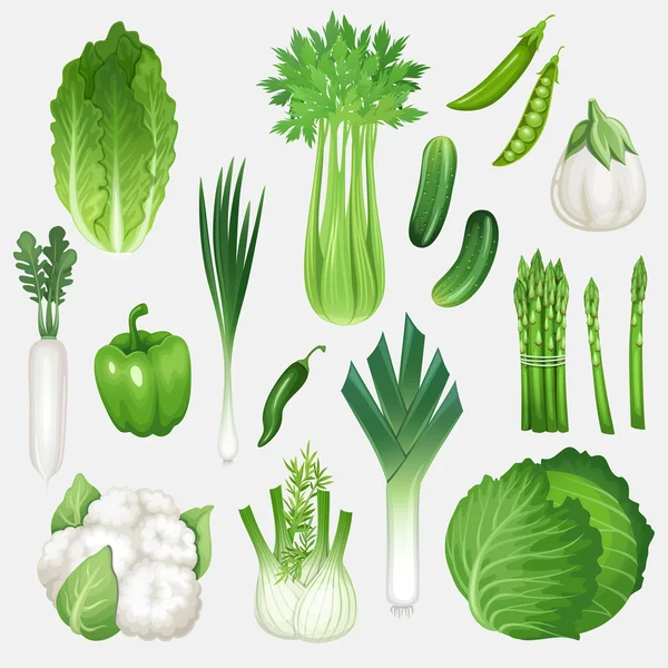Uppsättning av färska gröna grönsaker — Stock vektor