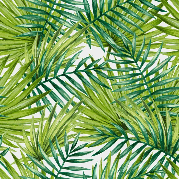 Tropical palm leaves — Stock Vector