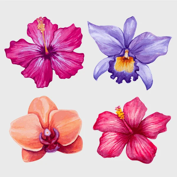 Acuarela flores tropicales — Vector de stock