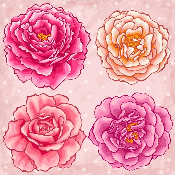 Rose da giardino in stile disegnato a mano — Vettoriale Stock