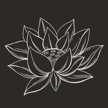 Lotus çiçeği doodle sembolü