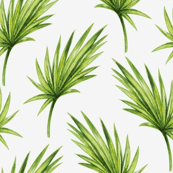 Yaprakları palmiye ağaçları