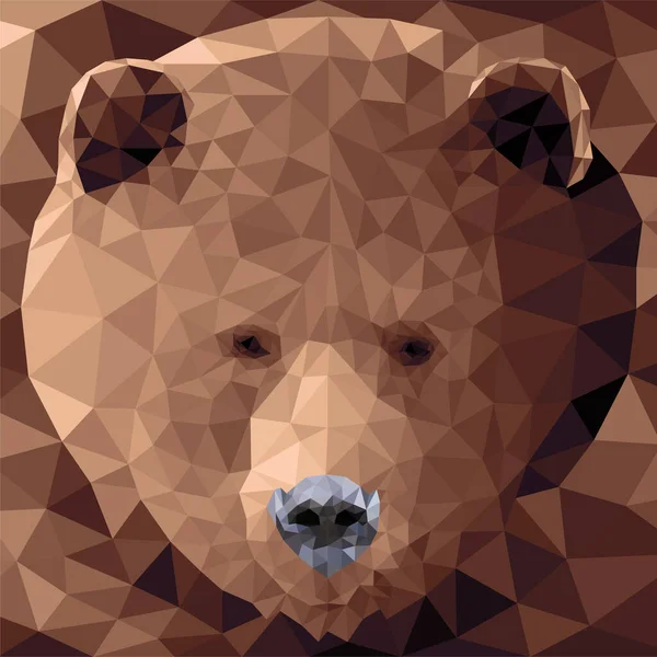 Vektorový medvěd v nízkém poly stylu — Stockový vektor