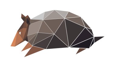 Düşük polimerli vektör armadilo