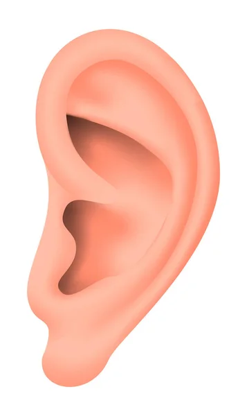 변증법에 있어서 반입자의 귀 — 스톡 벡터