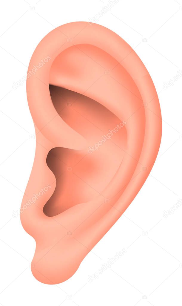 Vector ear in gradient style