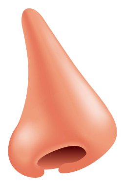 Eğim biçiminde vektör burun