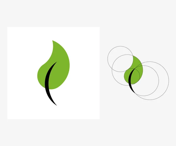 Vector leaf in golden ratio style. Editable illustration — Stock Vector