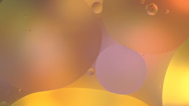 Oil Water Abstract Background Colorful Bubbles — Stock Video