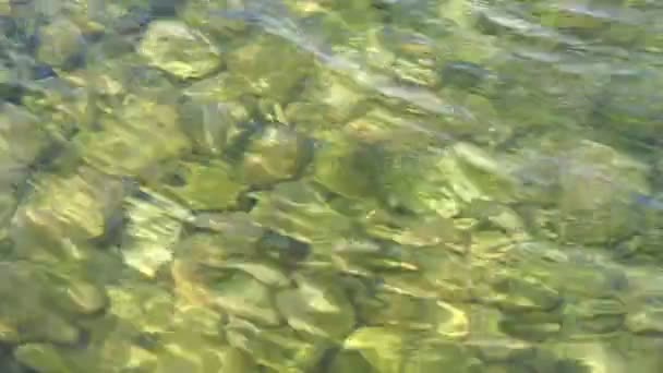 水面上の水と波紋の下の石 澄んだ水の下の小石 藻類に覆われた石 — ストック動画