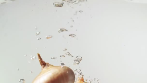 Movimiento Lento Cebolla Amarilla Cayendo Agua Fondo Blanco — Vídeos de Stock