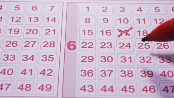 Lottery Numbers Ticket Marker Pen Fills Lottery Ticket Fill Out — Stock Video