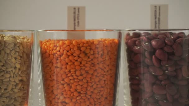 Genmanipuliertes Saatgut Verschiedene Saatgutsorten Laborzucht Und Gentechnik — Stockvideo