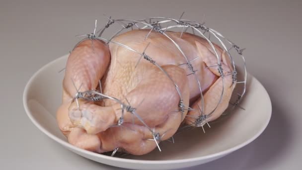 白盘上的Gmo鸡基因改变或改变的食物概念 — 图库视频影像