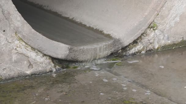 Tubería Contaminante Aguas Residuales Descarga Residuos Tubería Del Río Cerca — Vídeo de stock