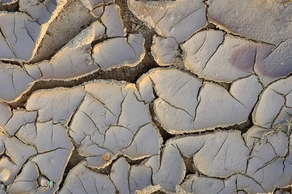 Dry Cracked Earth Soil Texture Dry Mud — Stock Photo, Image