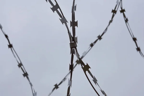 Barbed Wire Gray Sky Background Close — Stock Photo, Image