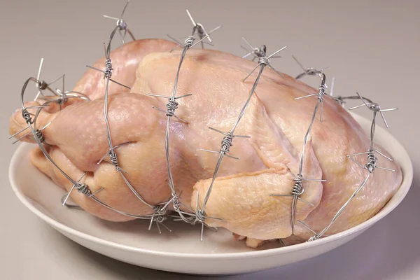Gmo Κοτόπουλο Λευκό Πιάτο Έννοια Γενετικώς Τροποποιημένα Τροποποιημένα Τρόφιμα — Φωτογραφία Αρχείου