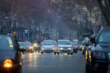 PARİS 'İN ANLARI, NOTRE DAMLARININ Katedrali, SÜRÜLKLERİN KONUŞU