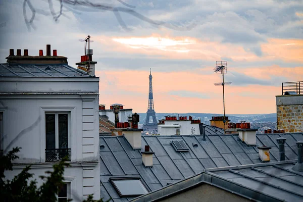 ŞEHRİ VİETLERİ VE Çatı katları olan PARIS CHIMNEYS