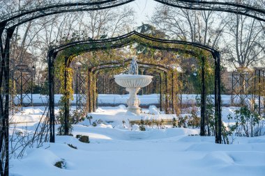 2021 'de kar yağışı sonrası LA ROSALEDA DEL Emekliliği